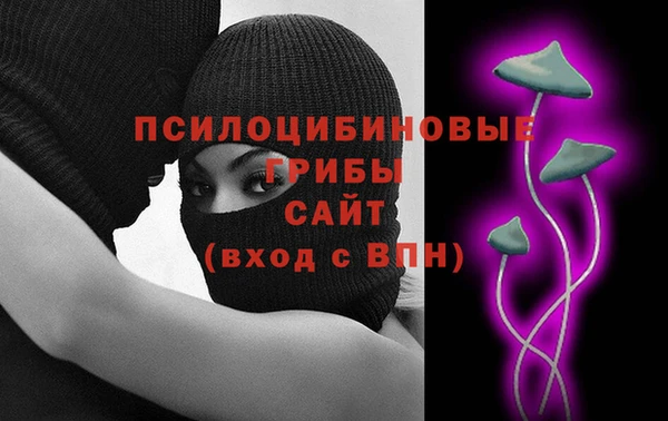 ПСИЛОЦИБИНОВЫЕ ГРИБЫ Белокуриха